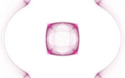 2014 04 30 Webs and Things 00-white.jpg